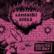 Help Me I'm Gay cover