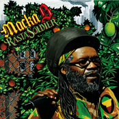 Rasta Soldier