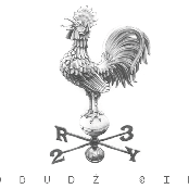 OBUDŹ SIĘ
