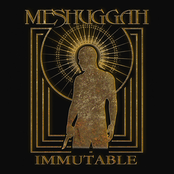 Ligature Marks (2025 Remastered)
