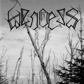Wendess