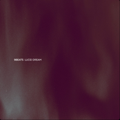 Lucid Dream