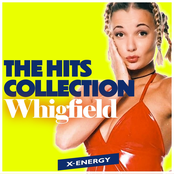 The Hits Collection cover