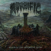 Bloom of the Abnormal Flesh
