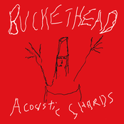 Acoustic Shards