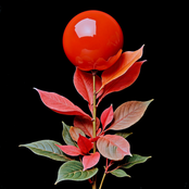 ELXR