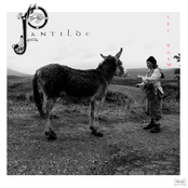 Pantilde