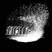 Swarm Intelligence 002