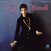 Liza Minnelli cover