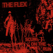 SCUM ON THE RUN