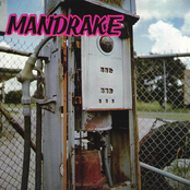 Mandrake