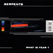 What Is Fear?
