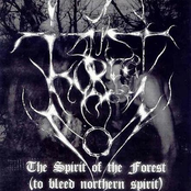 The Spirit of the Forest (To Bleed Northern Spirit)