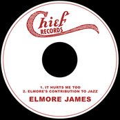 It Hurts Me Too / Elmore's Contribution to Jazz