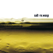 re.wasp