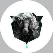 Polar Era