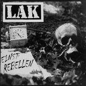 Einst Rebellen