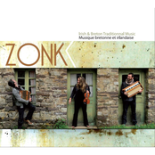 Musique bretonne et irlandaise