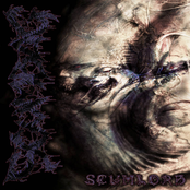 Scumlord