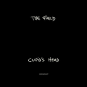 Cupid's Head