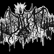 DiM