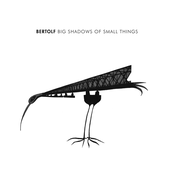 Big Shadows of Small Things