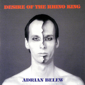 Desire of the Rhino King