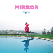 Mirror cover