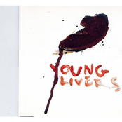 Young Livers