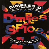 Dimples & Spice cover