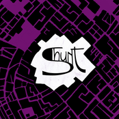 Shunt