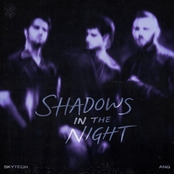 Shadows in the Night