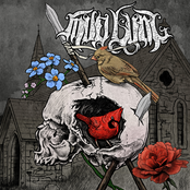 Mud Lung