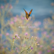 Above