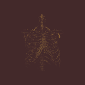 Gnawed Gristle and Bone