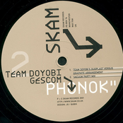 Phonok (Remixes)