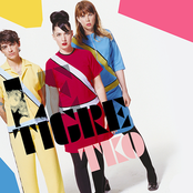TKO cover