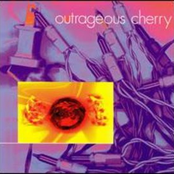 Outrageous Cherry