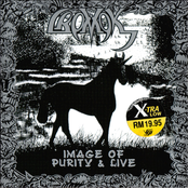 Image of Purity & Live