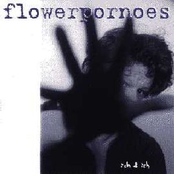 Flowerpornoes – Ich & Ich