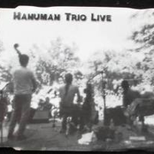 Hanuman Trio Live