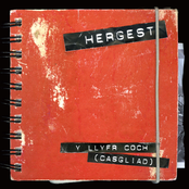 Y Llyfr Coch