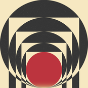 Vogel