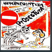 NamármegintezaProsectura