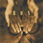 To the Bone