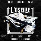 L'oseille