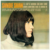 Sandie Shaw cover