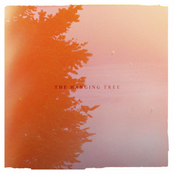 Amistat – The Hanging Tree