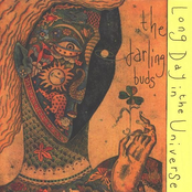 Long Day in the Universe cover