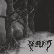 Nordwind
